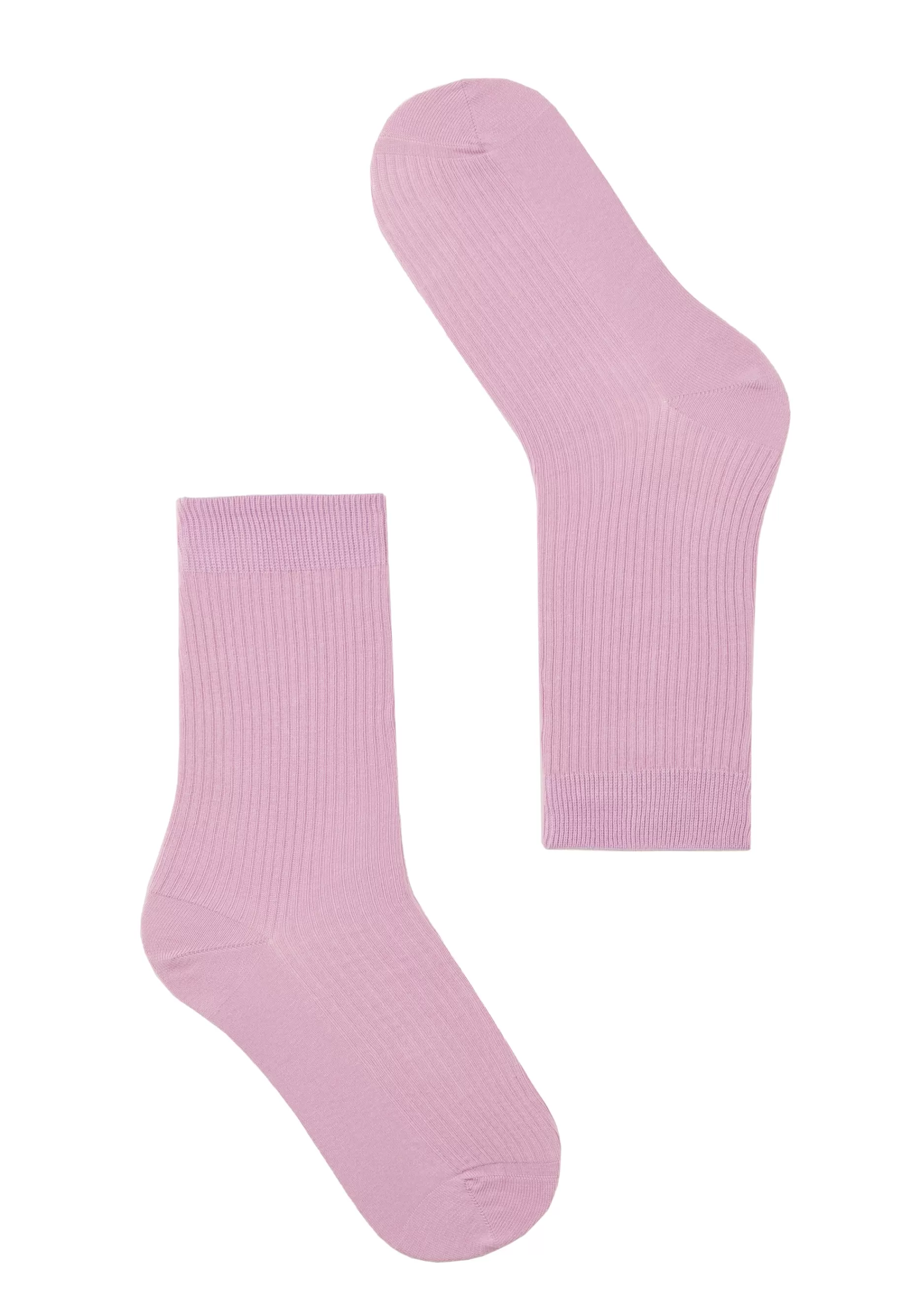 Socken<recolution Kraut Orchideenrose